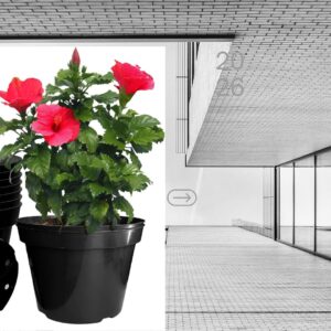 Black 10-inch plastic nursery pots with drainage holes arranged with flowers, herbs, and small plants for indoor and outdoor gardening.